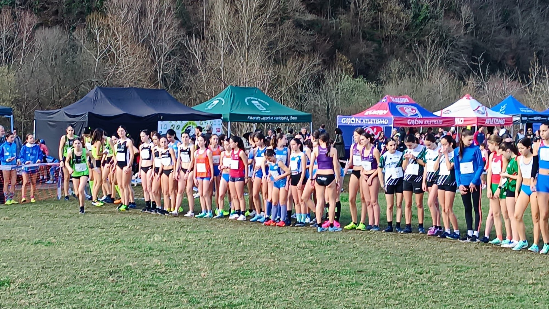 Cto. de Asturias Cross Escolar